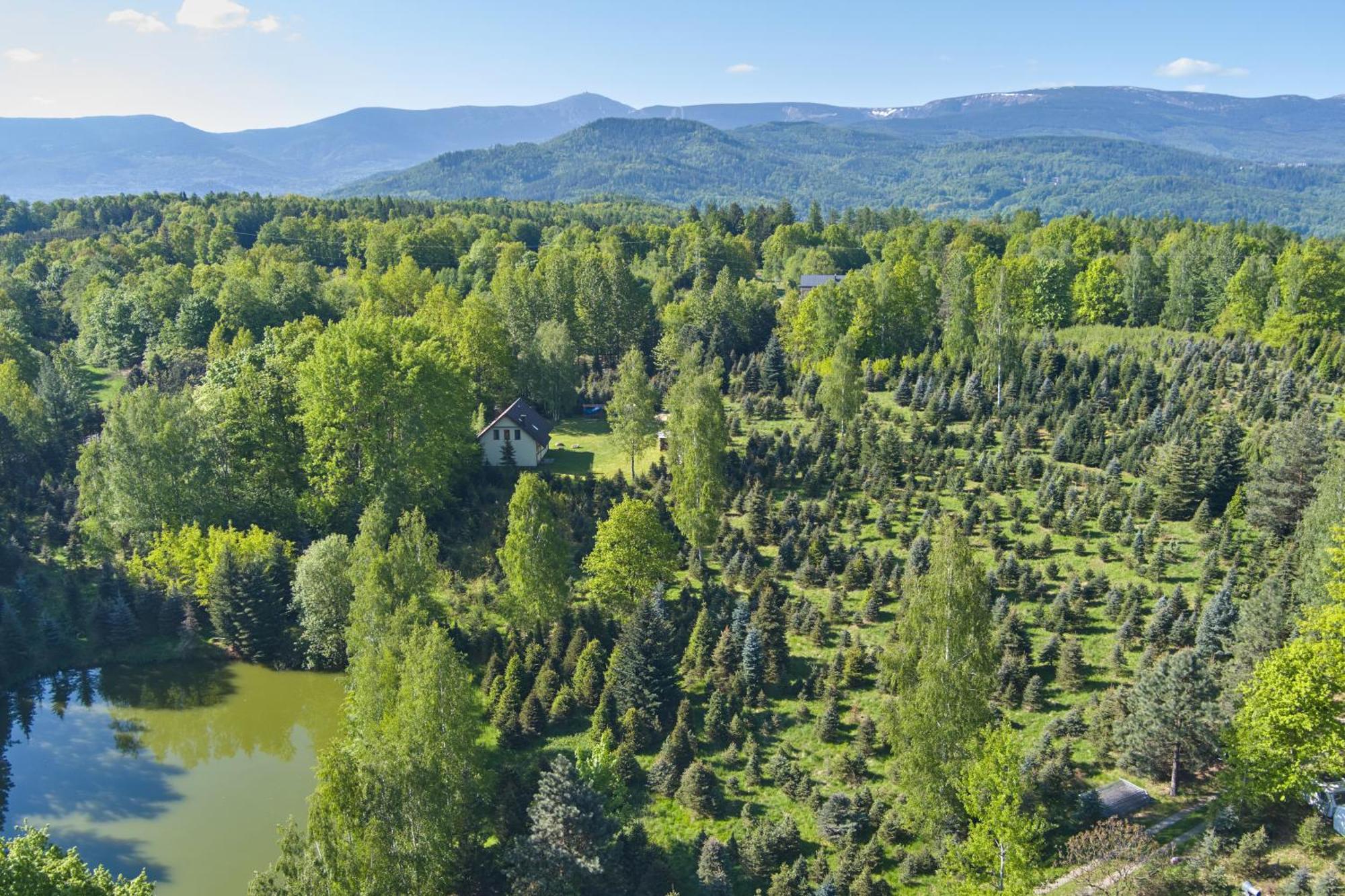 Agroturystyka - Srebrny Las Staniszow Exteriér fotografie